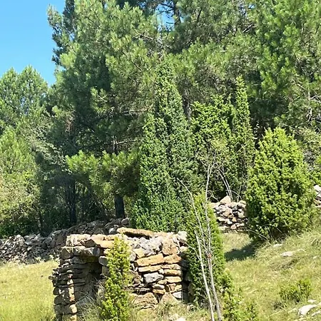 Holiday home Masia Matutano Villafranca del Cid