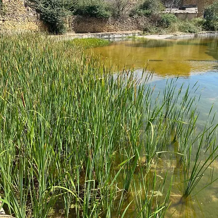 Сasa de vacaciones Masia Matutano Vilafranca (Villafranca del Cid)